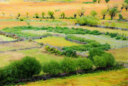Tibet nyingchi travelogue 06