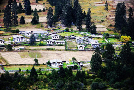 Tibet nyingchi travelogue 08