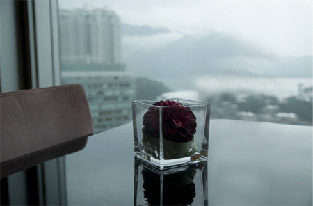 Hong kong travelogue 01