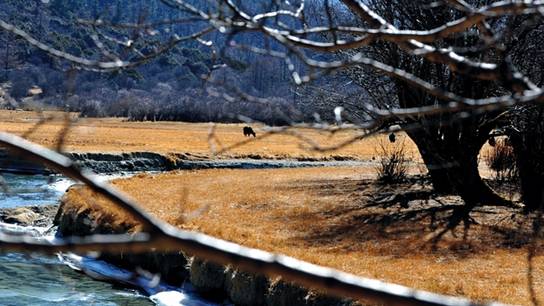 Daocheng trip 09