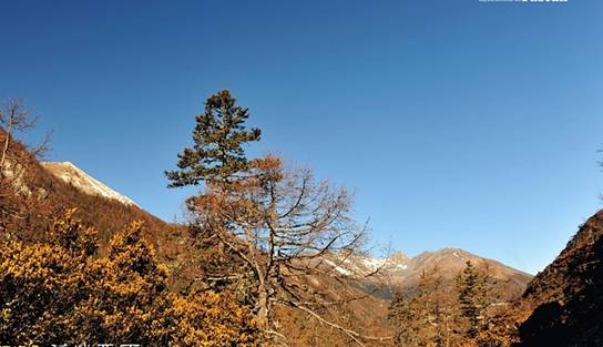 Daocheng trip 11