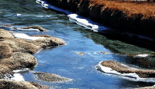 Daocheng trip 12