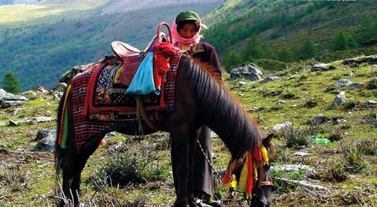 Daocheng trip 14