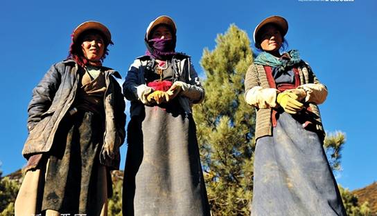 Daocheng trip 18