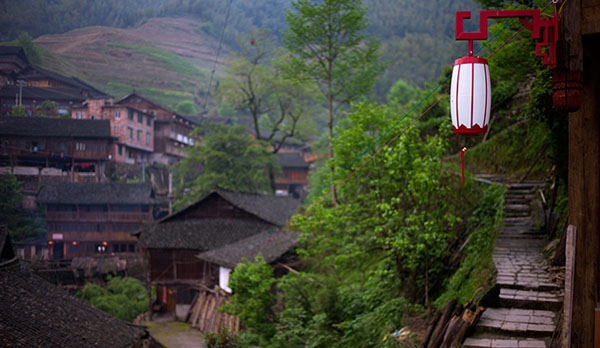 Longji Rice Terraces 06