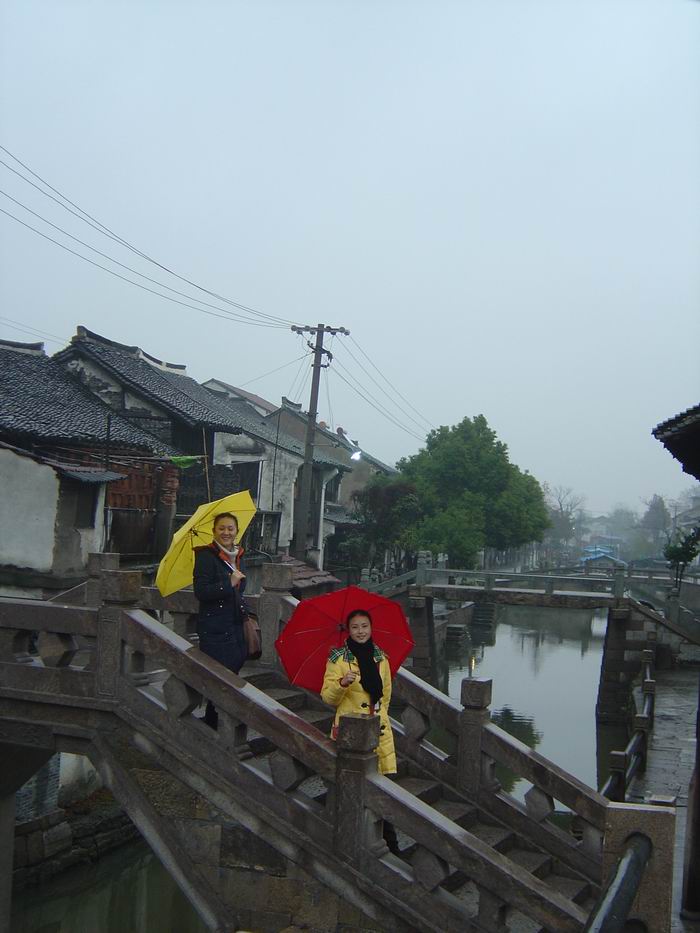 2009914111554317