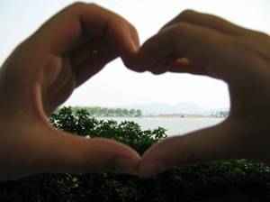20108315344725