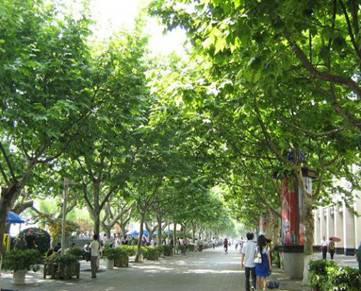 201083154515808