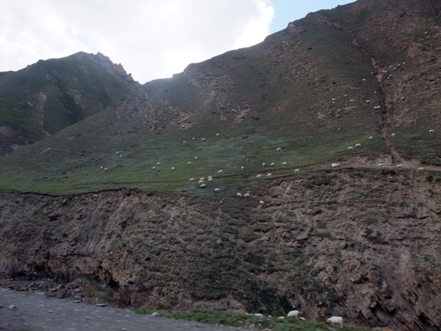 201092164935640