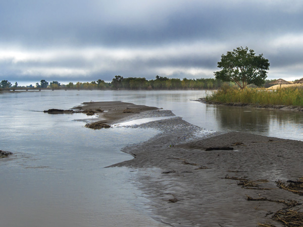 Tarim River channel at the desert edge in Xinjiang