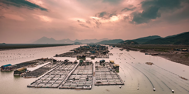 Reflected light across Xiapu tidal flats and sea-farm poles Reflected light across Xiapu tidal flats and sea-farm poles