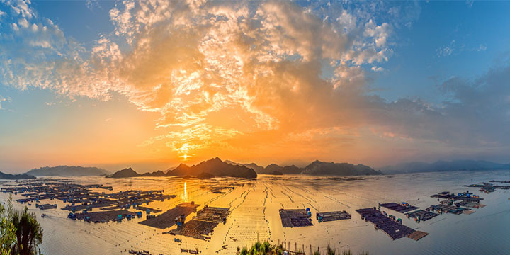 Fishing boats moving among aquaculture structures in Xiapu Fishing boats moving among aquaculture structures in Xiapu