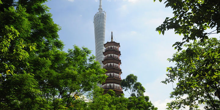 How to Spend a 12 Hour Layover in Guangzhou