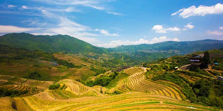 Longji 07