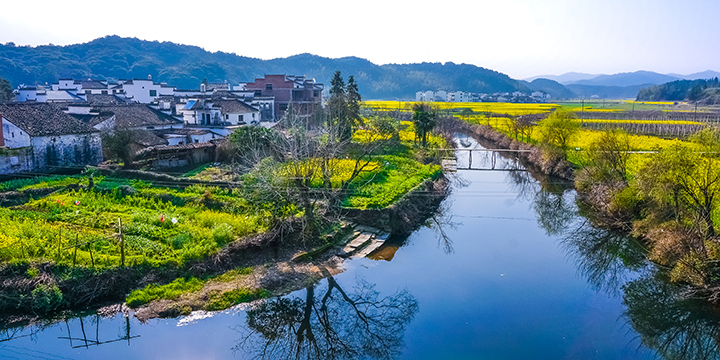 River bend and flowering fields at Moon Bay in Wuyuan