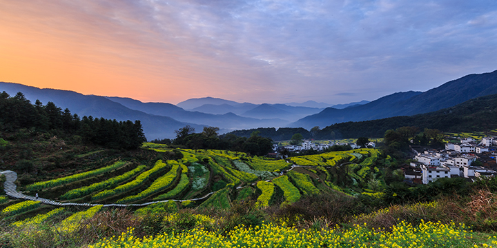 Flowering rapeseed, village roofs and surrounding hills in Wuyuan
