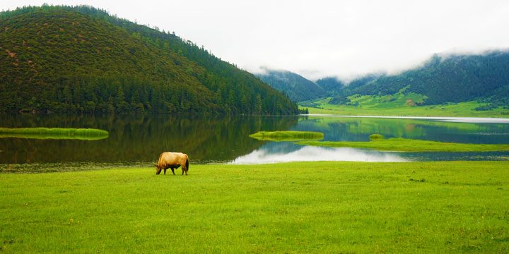 Best Places to Visit in China in May, Shangri-la Shangri-la