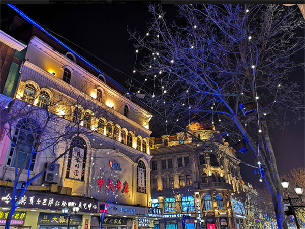 Flower city square 2