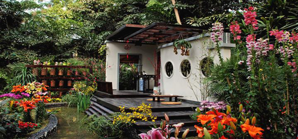 Best place to see flowers and plants in guangzhou 01
