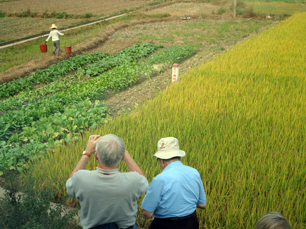 Do sightseeing in yangshuo countryside 14