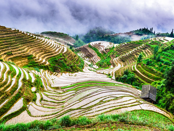 Longji Old Village Cultural Terraced Fields