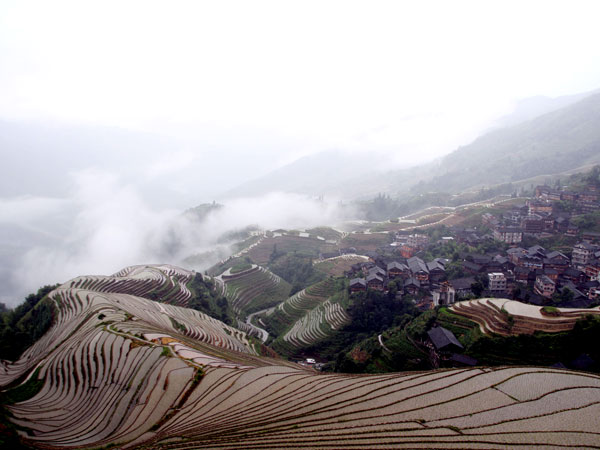 Longji Old Village Cultural Terraced Fields