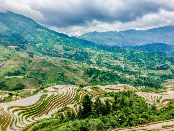 longji rice terraces