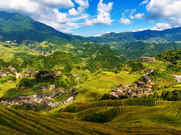 Longji Rice Terrace 7