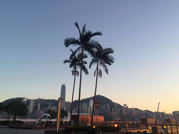 Harbour city 04