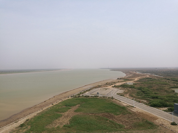 Yellow river delta wetland 02