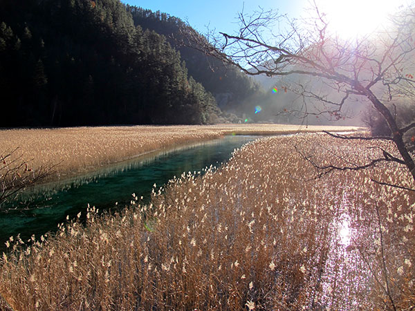 Reed lake in jiuzhaigou valley 04
