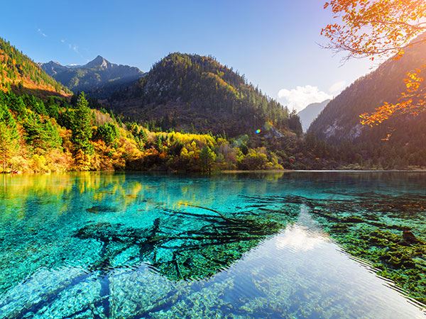 Rize valley 04