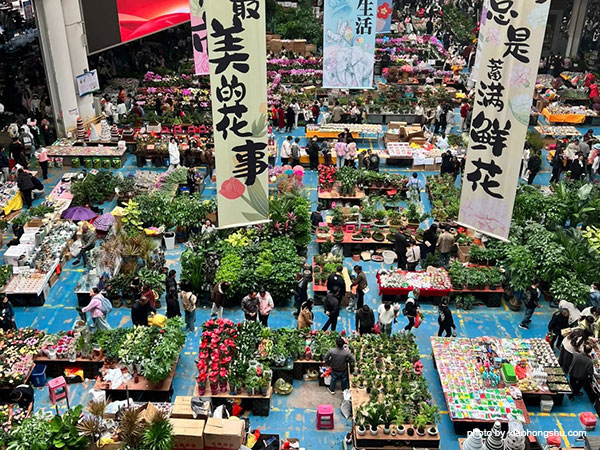 Dounan flower market 1