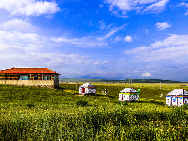 Sangke grassland 01