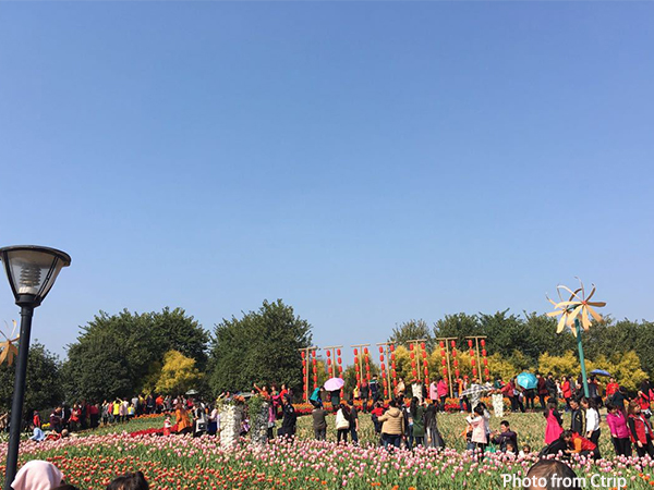 Garden Show Park