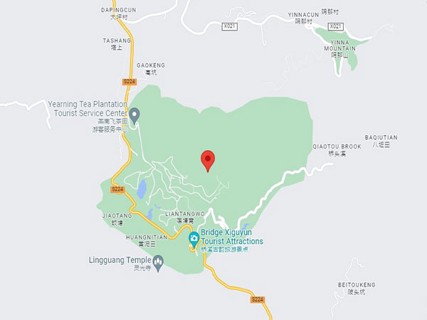 Yearning tea plantation tourist attraction map