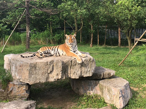 Qinghuangdao Wildlife Park