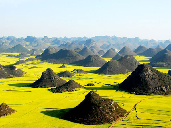Rapeseed fields around the karst hills of Luoping, Yunnan Rapeseed fields around the karst hills of Luoping, Yunnan