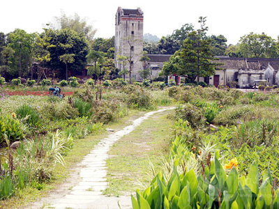 Popular rural places to visit in shenzhen 04