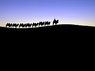 Silk road 09