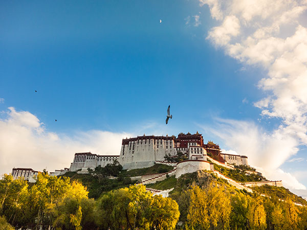 Potala Palace 1