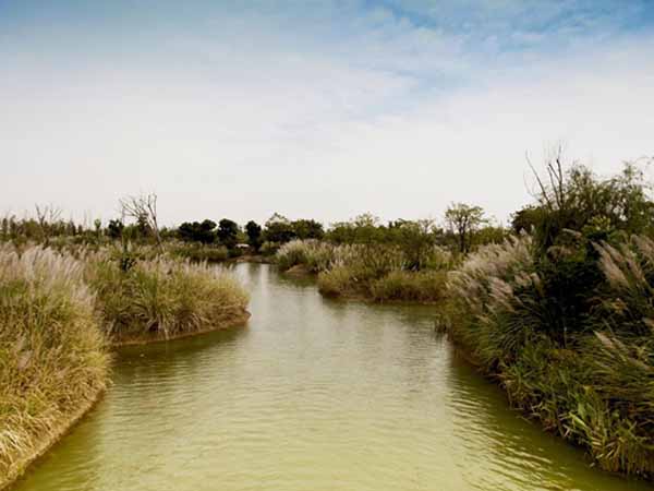 Top wetlands in wuxi 05