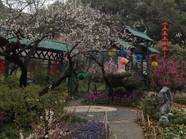 Best Places to Visit in China in February-Plum Garden Best Places to Visit in China in February-Plum Garden