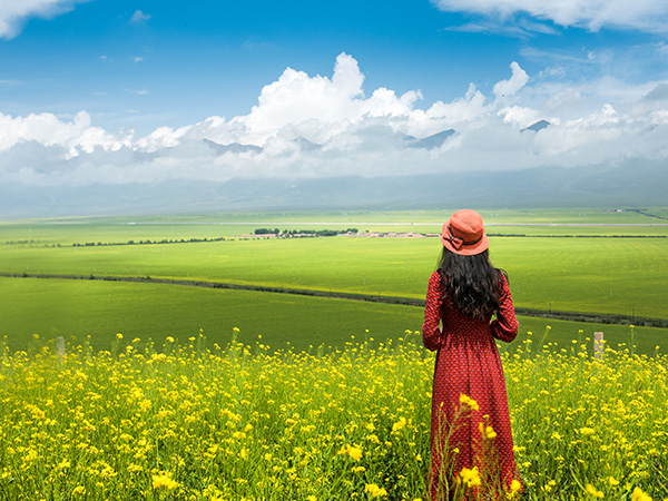 Menyuan Rape Flower Scenic Spot