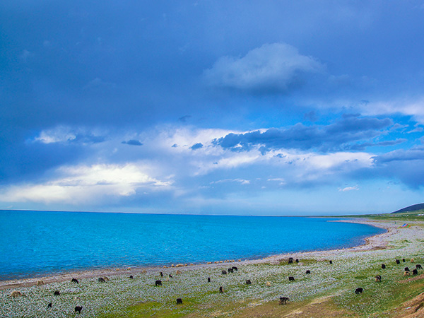 China Summer Tour Destinations-Qinghai Lake in Xining