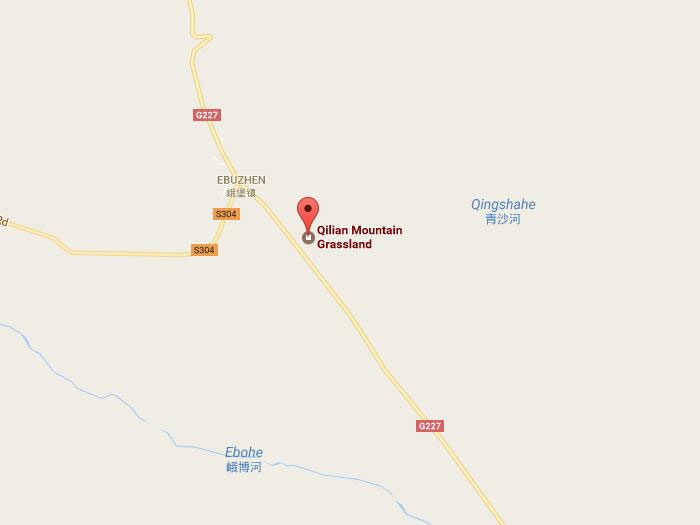 Qilian mountain grassland map 01