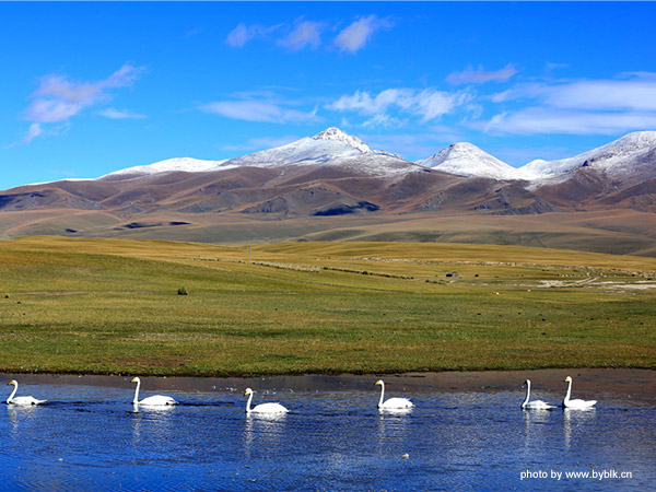 Bayanbulak Scenic Area