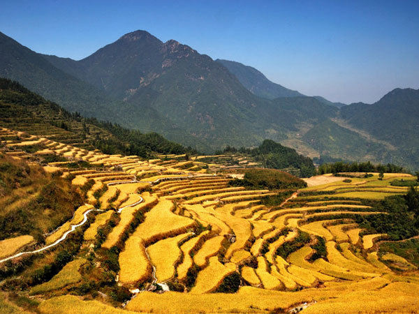Yunhe terraces