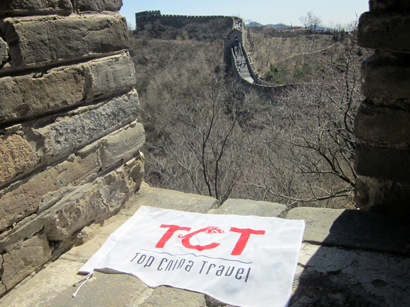 TCT MQ FIT 110401 2