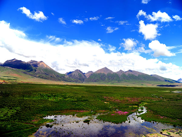 Green summer grassland and mountains on the Tibetan Plateau Green summer grassland and mountains on the Tibetan Plateau